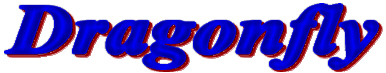 Dragonfly Marketing: Internet Marketing and Promotions for Recreation, Entertainment and Leisure